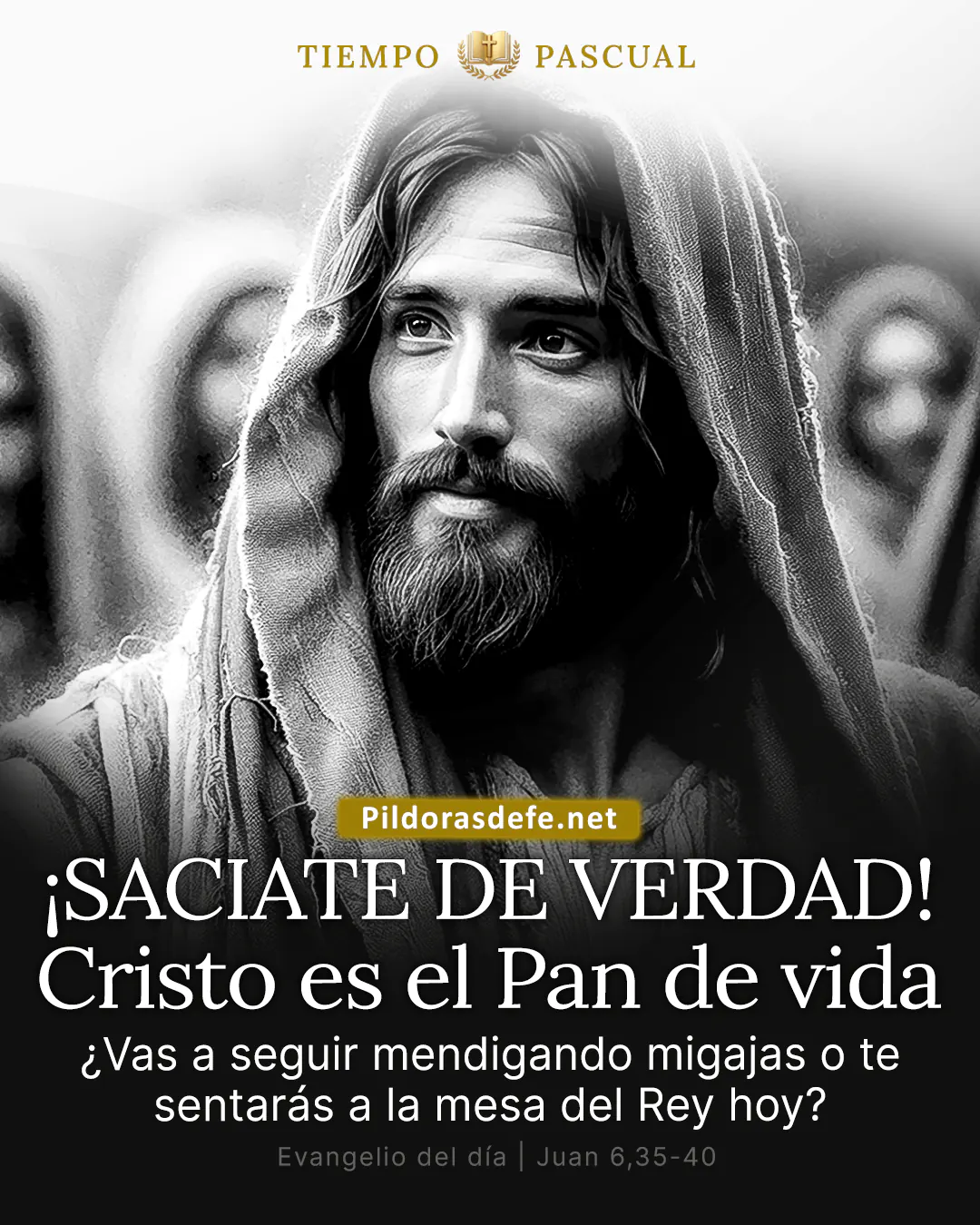 Evangelio del día Juan 6,35-40: Que todo el que vea al Hijo tenga vida eterna