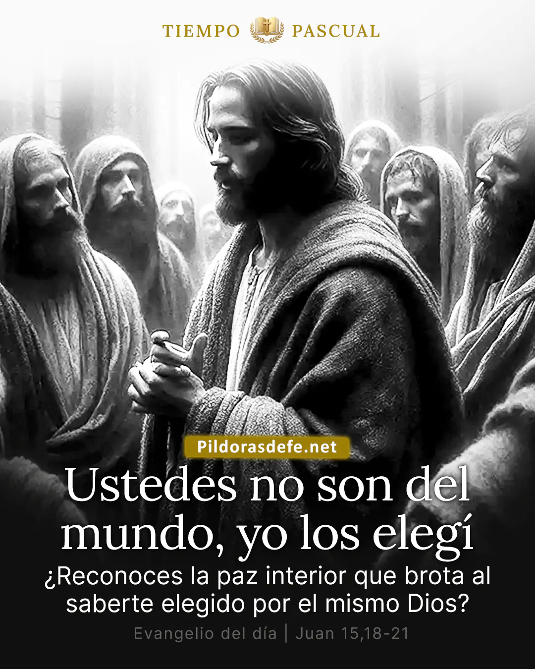 Evangelio de hoy, Juan 15,18-21: Ustedes no son del mundo, sino que yo los elegí