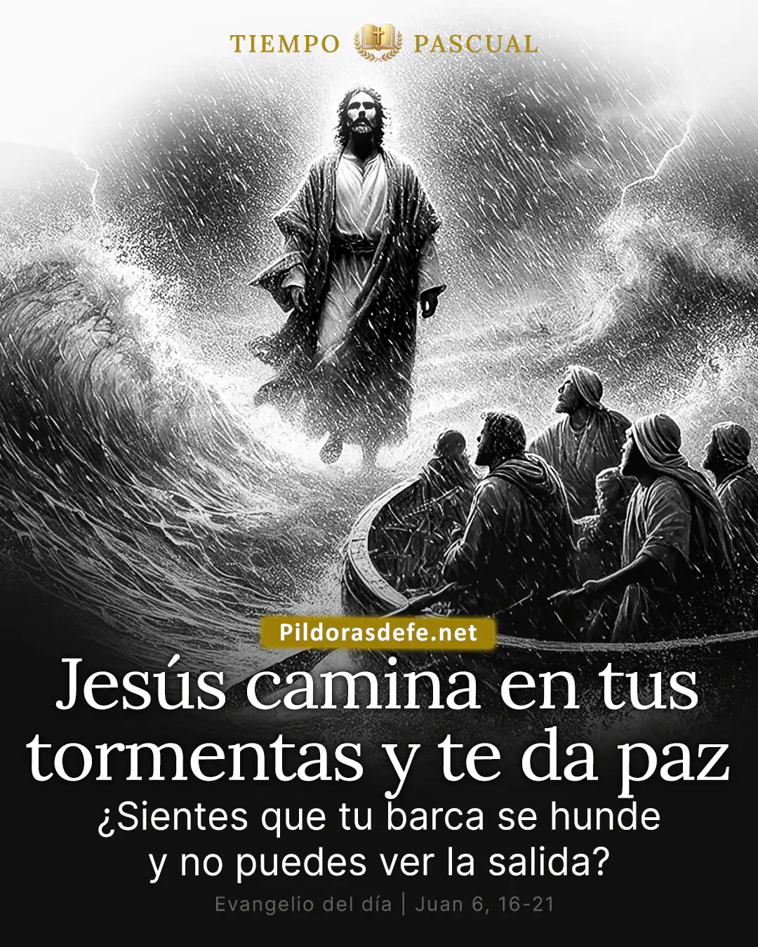 Evangelio del día Juan 6,16-21: Vieron a Jesús caminando sobre el mar