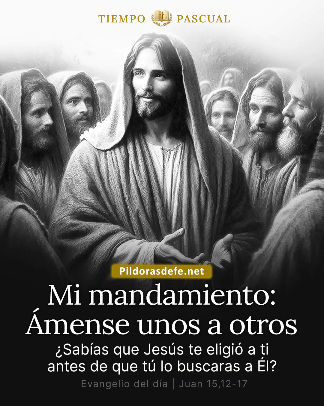 Evangelio de hoy, Juan 15,12-17: Este es mi mandamiento: Ámense los unos a los otros