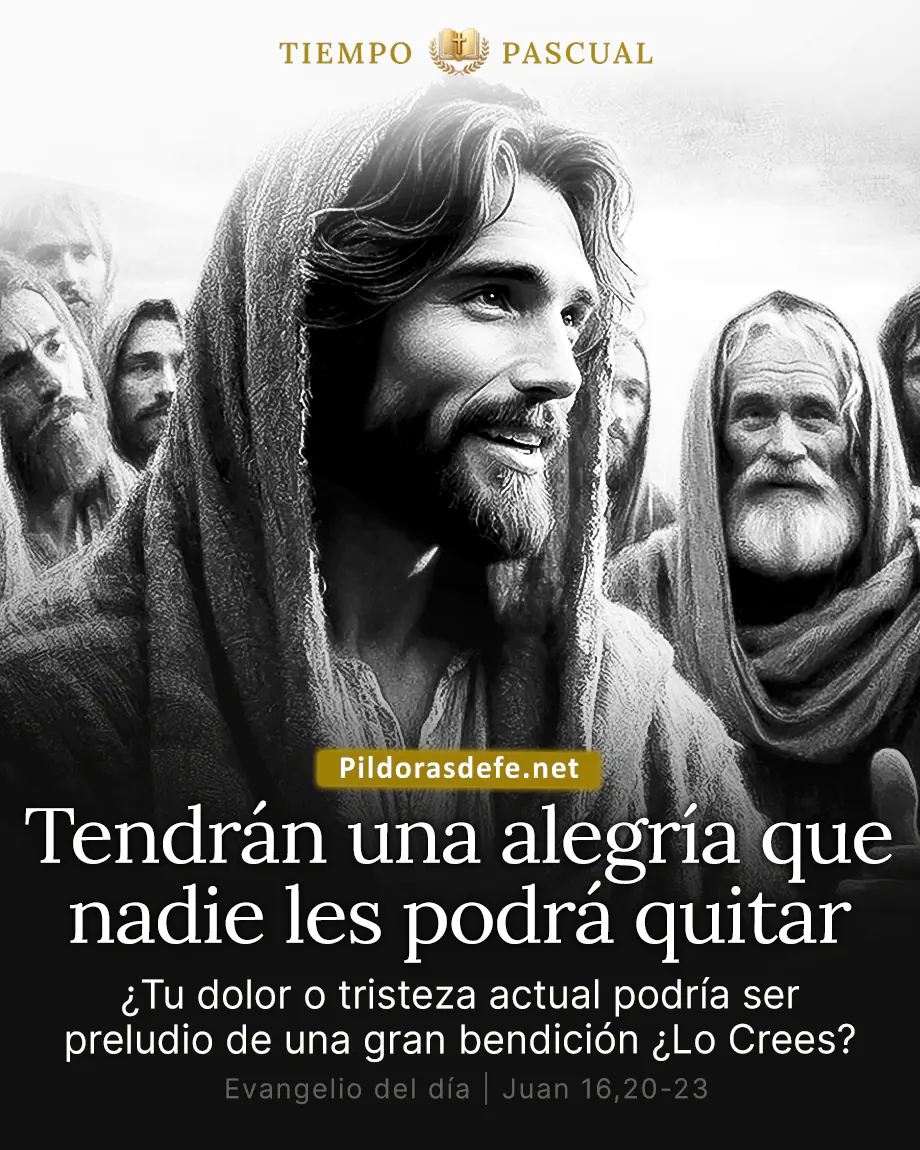 Evangelio del dia Viernes Juan 16 20 23 Tendran alegria nadie podra quitar Evangelio del día, Juan 16,20-23: Tendrán una alegría que nadie les podrá quitar
