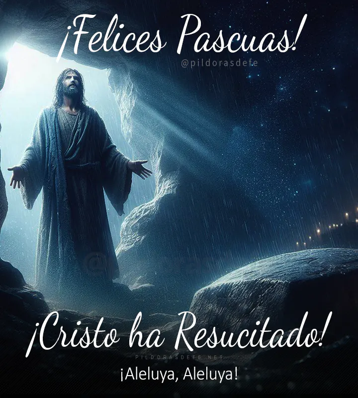 Evangelio del día, Domingo de Pascua, Juan 20,1-9: No habían comprendido que Él debía resucitar de entre los muertos