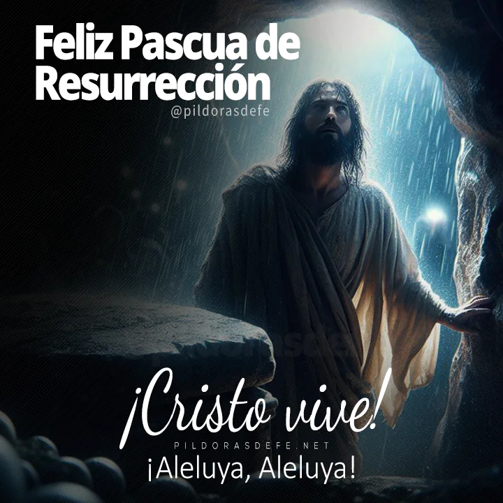 Solemnidad del Domingo de Pascua, Domingo de Resurrección: Cristo vive