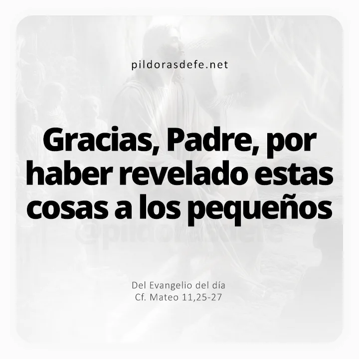 Evangelio de hoy Mateo 11-25-27: Gracias, Padre, has revelado estas cosas a los pequeños