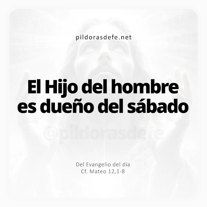 Evangelio de hoy Mateo 12-1-8: El hijo del hombre es el dueño del sábado