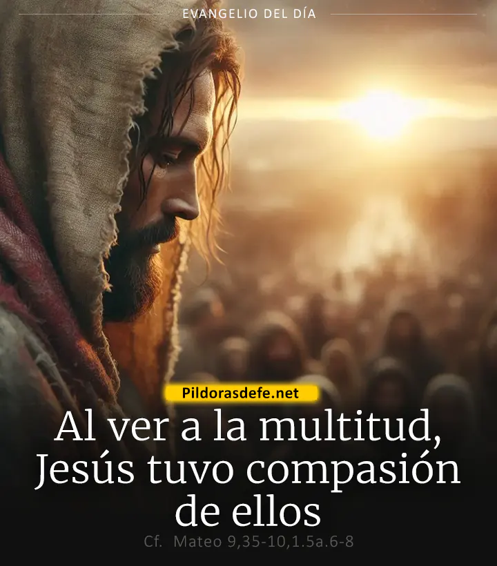 Evangelio de hoy, Mateo 9,35-10,1.5a.6-8: Al ver a la multitud, Jesús se compadeció de ellos