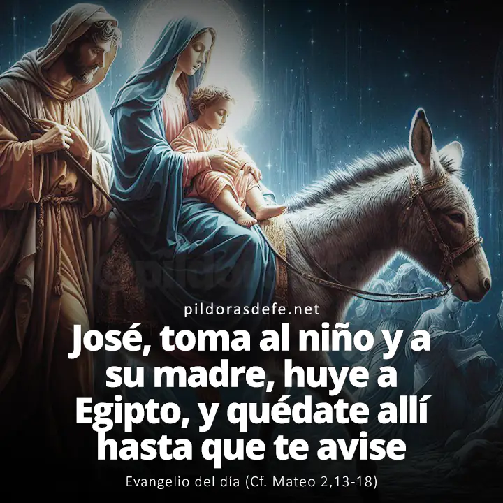 Evangelio del día, Mateo 2,13-18: José, toma al niño y a su madre, huye a Egipto, y permanece allí hasta que yo te avise