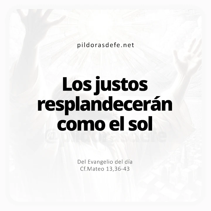 Evangelio de hoy Mateo 13,36-43: Los justos resplandecerán como el sol