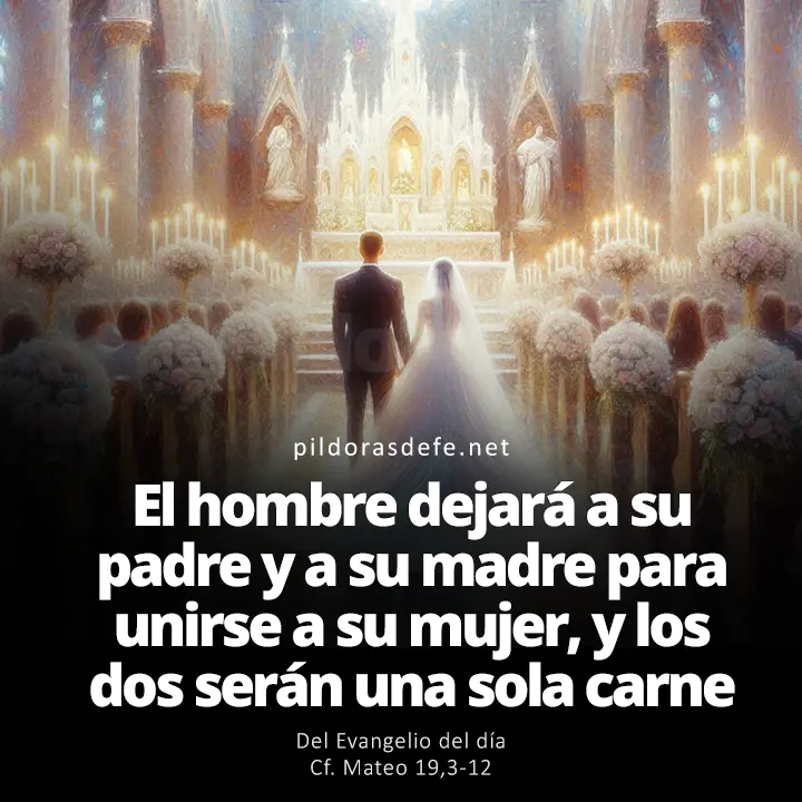 Evangelio de hoy Mateo 19,3-12: Los dos serán una sola carne
