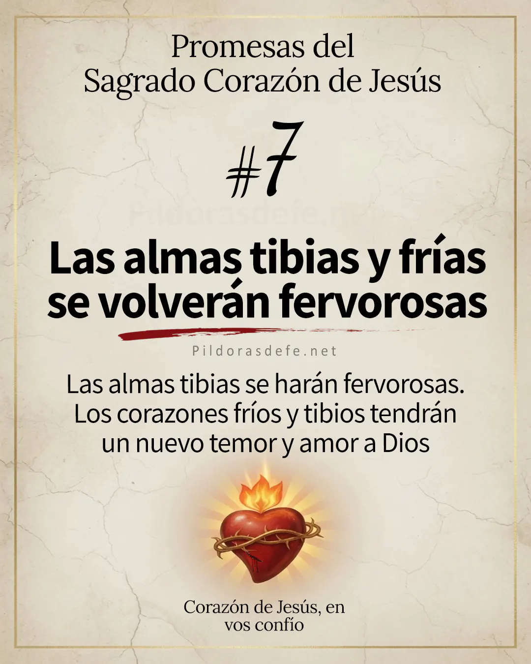 Promesa del Sagrado Corazón de Jesús #7: 