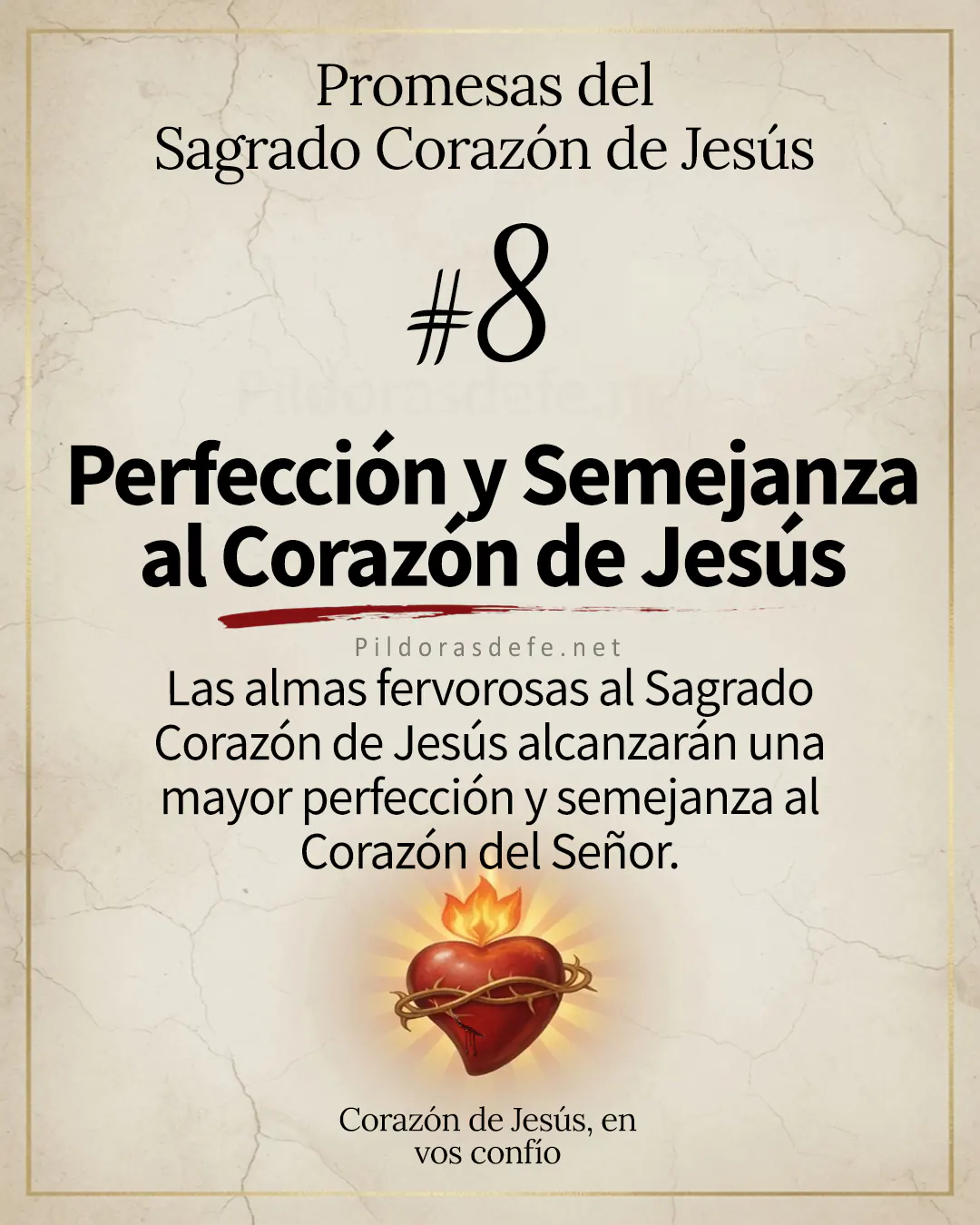 Promesa del Sagrado Corazón de Jesús #8: 
