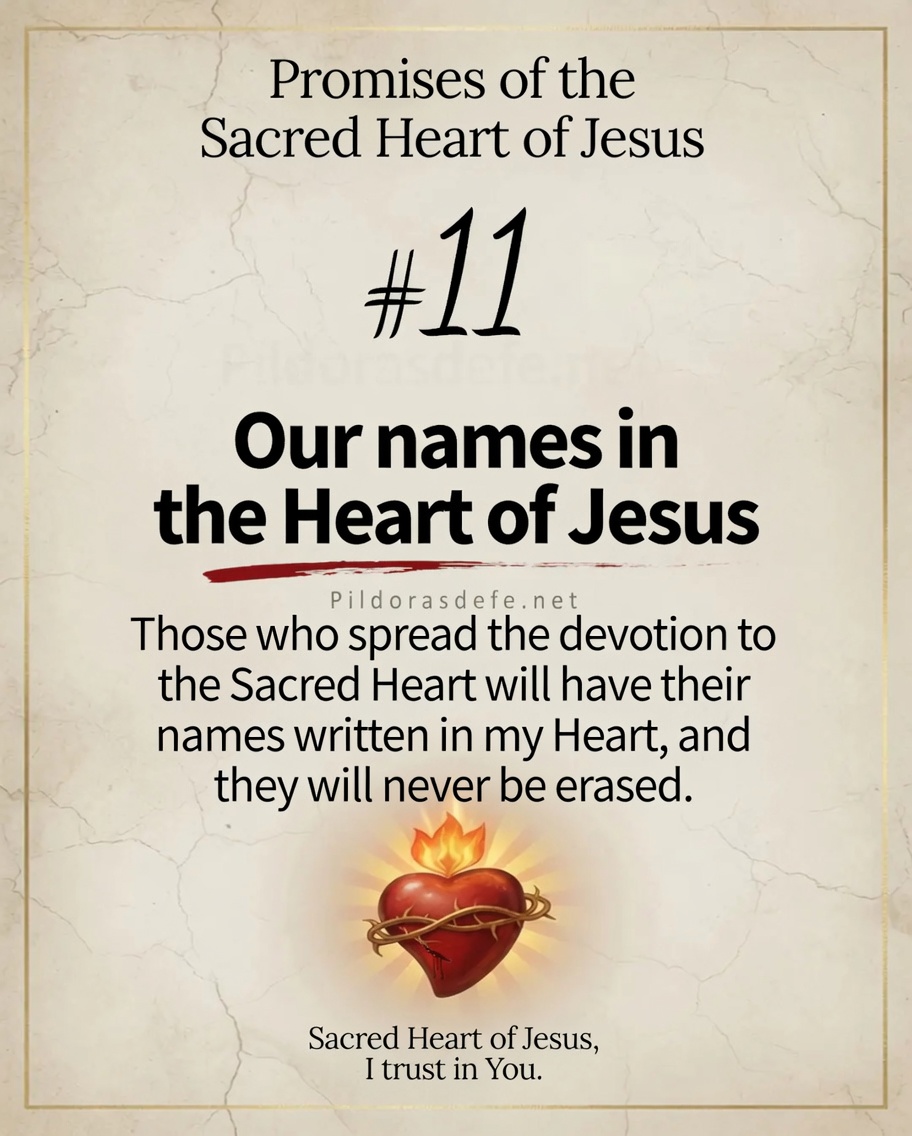 Promise 11 Sacred Heart of Jesus Promise of the Sacred Heart of Jesus #11: