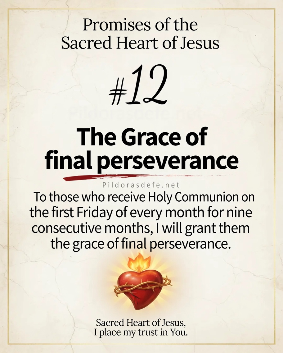 Promise 12 Sacred Heart of Jesus Promise of the Sacred Heart of Jesus #12: