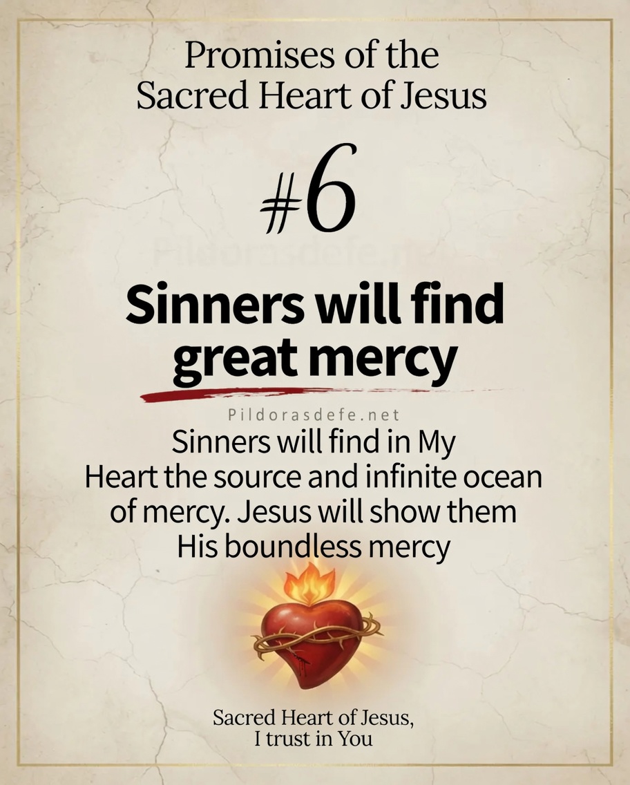 Promise 6 Sacred Heart of Jesus Promise of the Sacred Heart of Jesus #6: