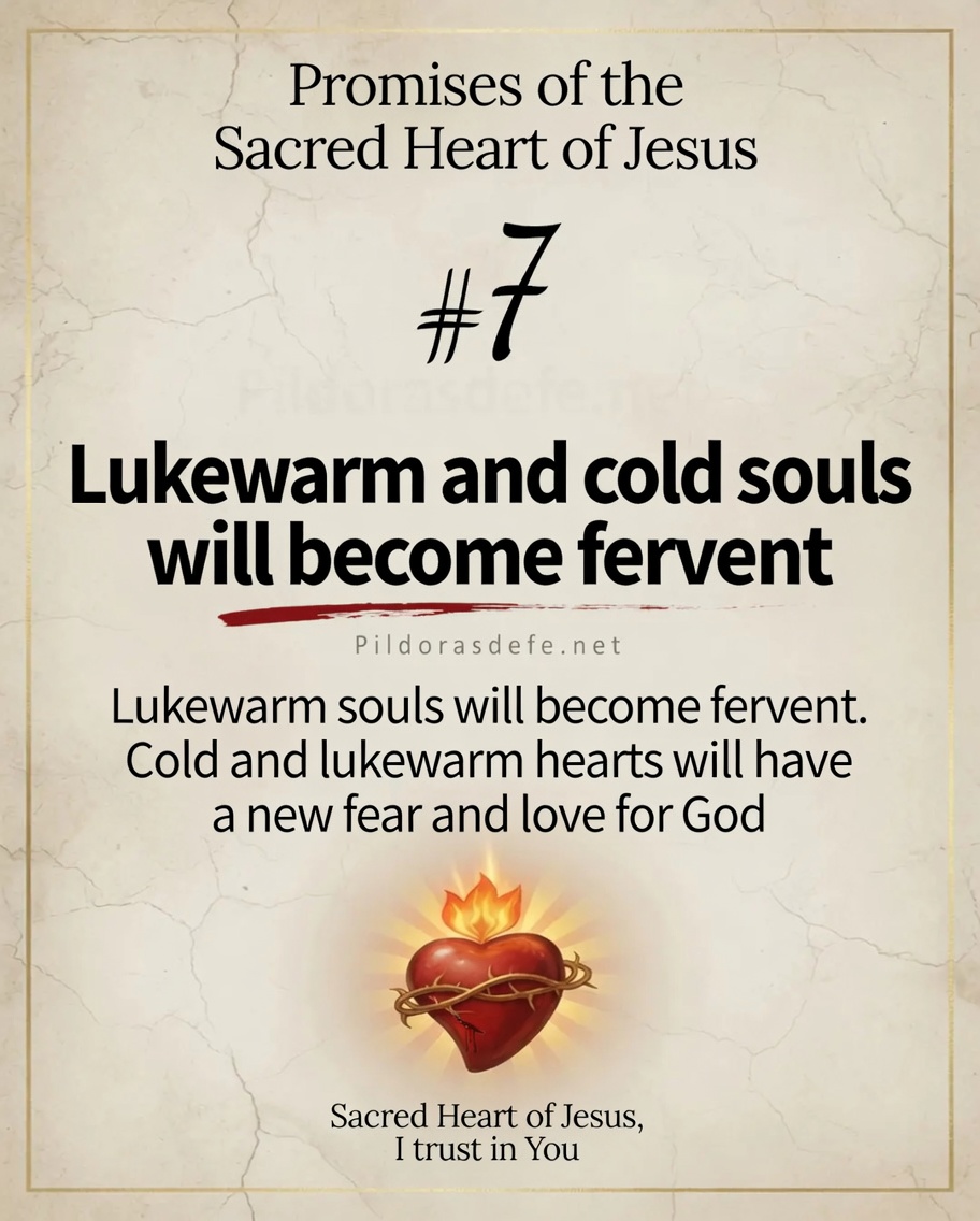 Promise 7 Sacred Heart of Jesus Promise of the Sacred Heart of Jesus #7: