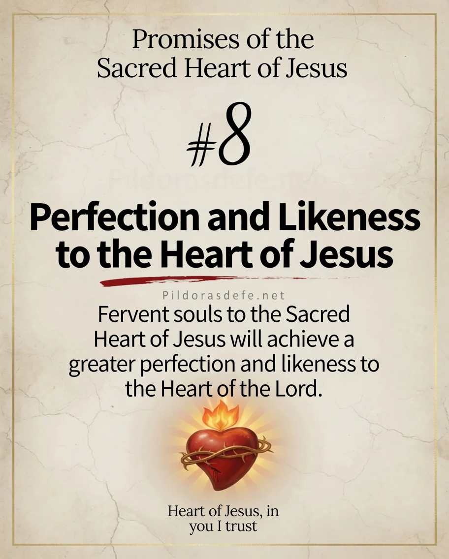 Promise 8 Sacred Heart of Jesus Promise of the Sacred Heart of Jesus #8: