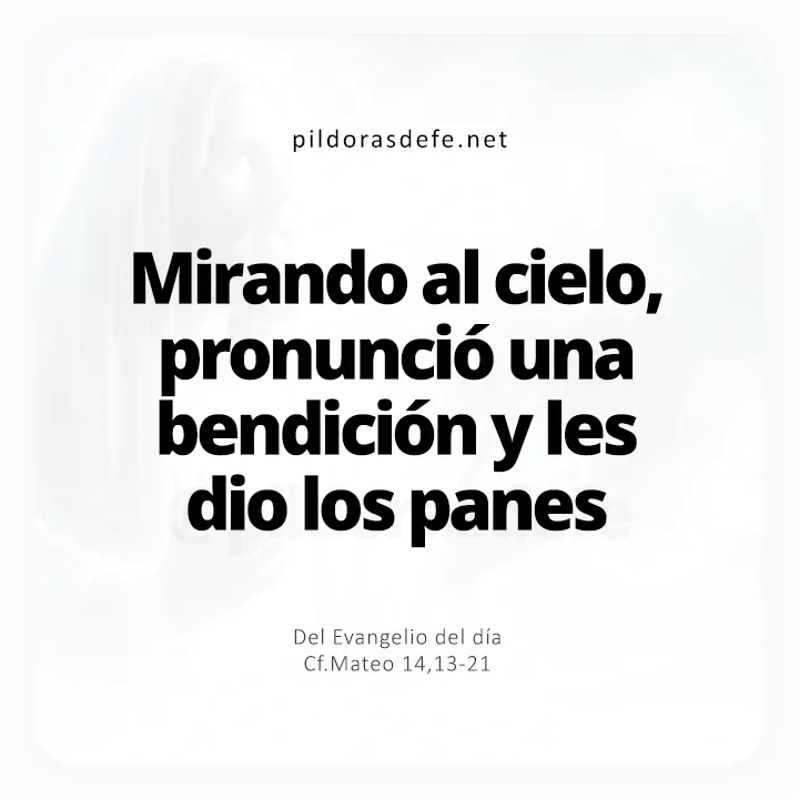 Evangelio de hoy Mateo 14,13-21: Pronunció una bendición y le dio los panes