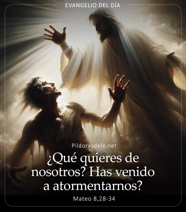 Evangelio de hoy, Mateo 8,28-34: ¿Qué quieres de nosotros? ¿Has venido a atormentarnos?