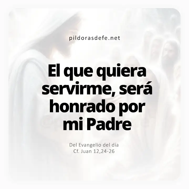Evangelio de hoy Juan 12-24-26: El que quiera servirme será honrado por mi Padre