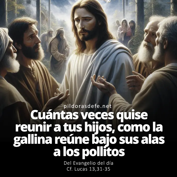 Evangelio del día, Lucas 13,31-35: Cuántas veces quise reunir a tus hijos, como la gallina reúne bajo sus alas a los pollitos
