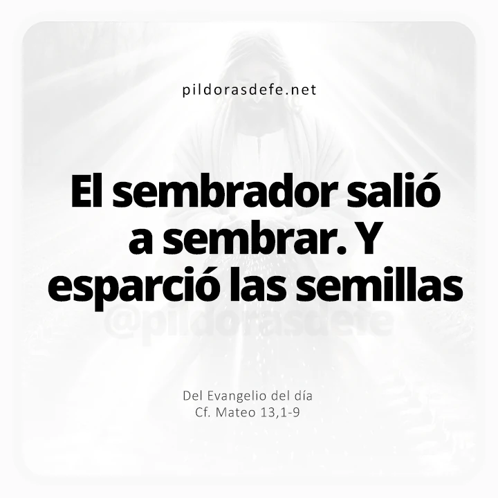 Evangelio de hoy Mateo 13,1-9: Salio el Sembrador a sembrar