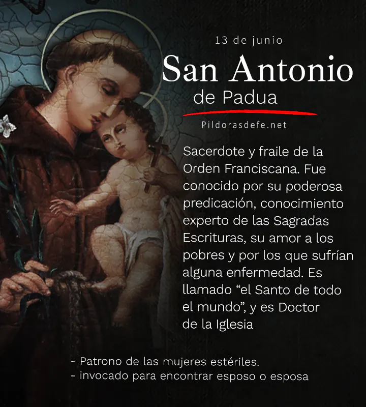 San Antonio de Padua, Doctor de la Iglesia, vida y obra
