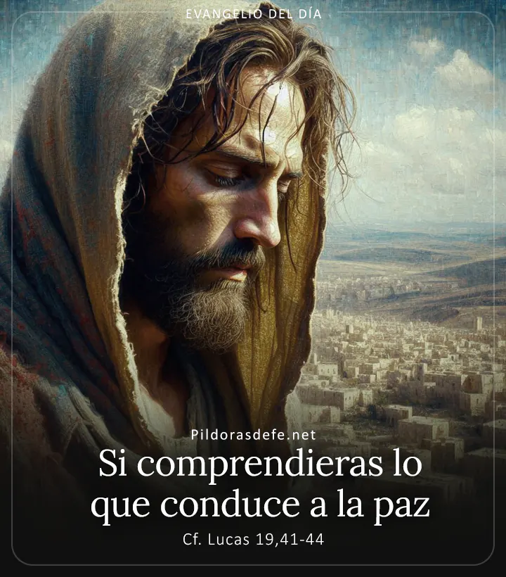 Evangelio de hoy, Lucas 19,41-44: Si comprendieras lo que conduce a la paz
