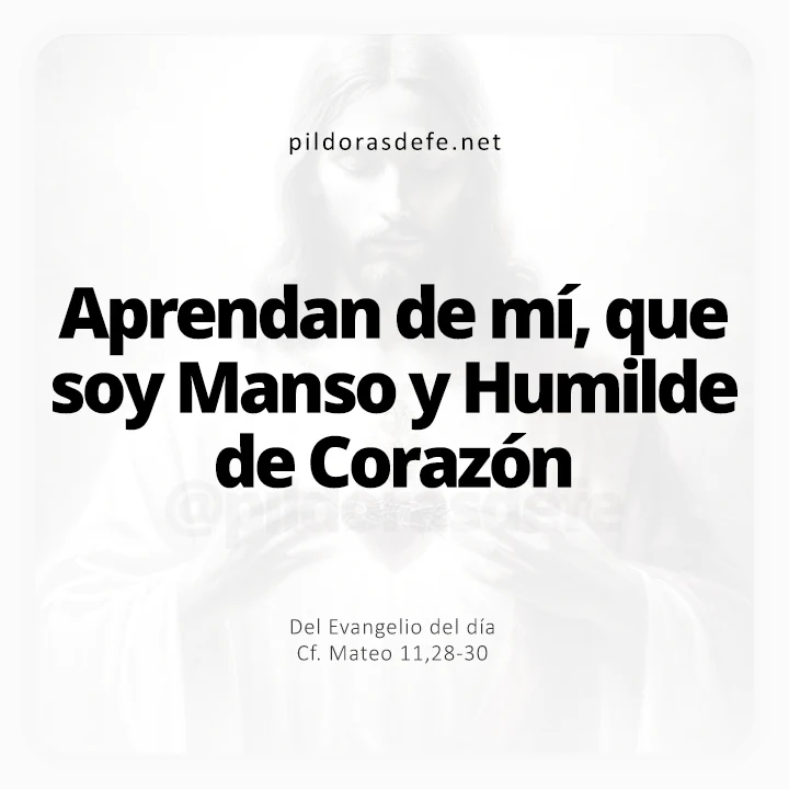 Evangelio de hoy Mateo 11-28-30: Aprendan de mí, que soy manso y humilde de corazón