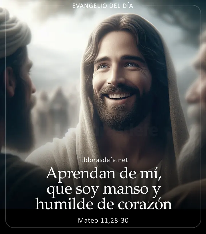 Evangelio de hoy, Mateo 11,28-30: Aprendan de mí, porque soy manso y humilde de corazón