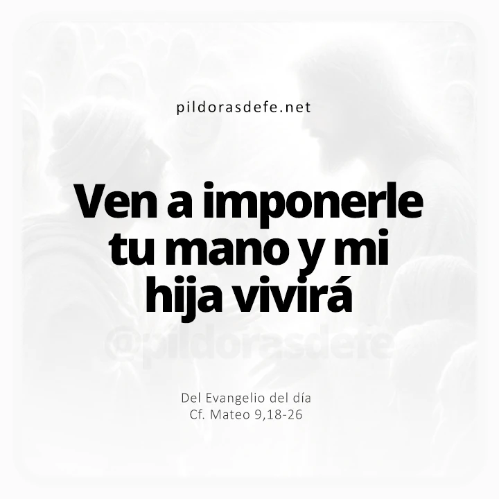 Evangelio de hoy Mateo 9,18-26: Ven a imponerle tu mano y mi hija vivirá