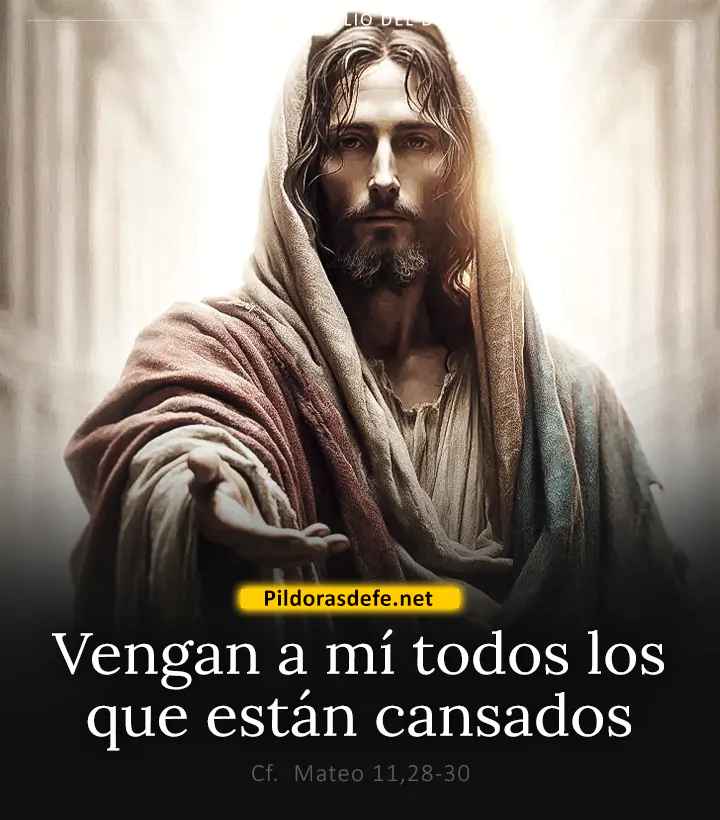 Evangelio de hoy, Mateo 11,28-30: Vengan a mí todos los que están cansados y afligidos