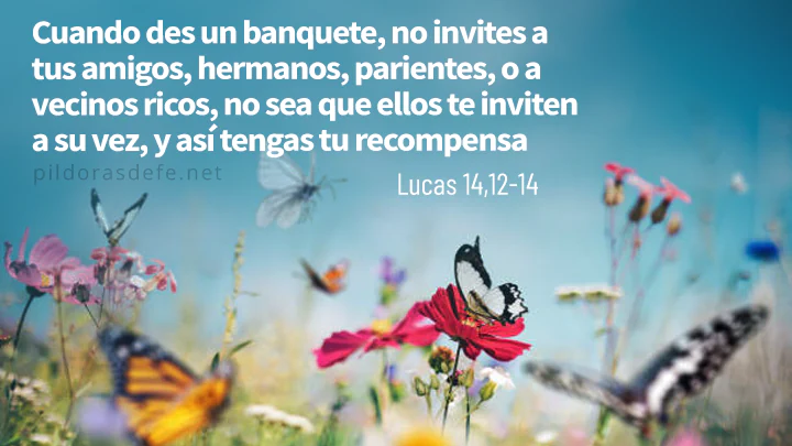 Cita Bíblica para el Evangelio del día, Lucas 14,12-14: Cuando des un banquete no invites a amigos o vecinos ricos