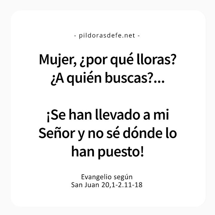 Cita bíblica del Evangelio de hoy (Juan 20,1-2.11-18): Mujer, ¿por qué lloras?, ¿a quién buscas?