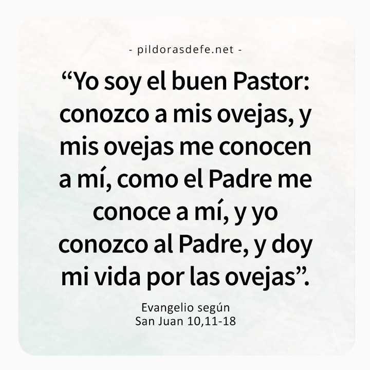 Cita bíblica del Evangelio de hoy (Juan 10,11-18): Yo soy el Buen Pastor que da la vida por sus ovejas