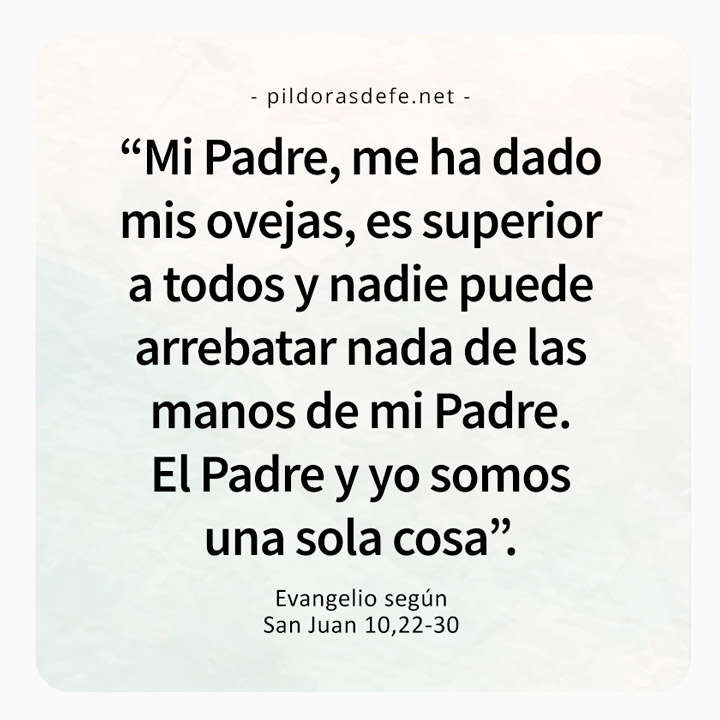 Cita bíblica del Evangelio de hoy (Juan 10,22-30): Mi Padre y Yo somos una sola cosa