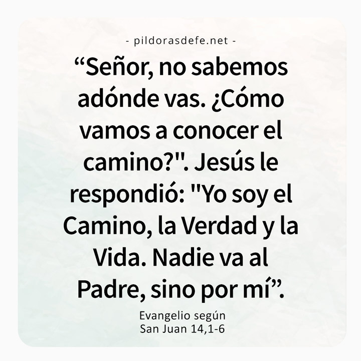 Cita bíblica del Evangelio de hoy (Juan 14,1-6): Soy el Camino, la verdad y la vida. Nadie va al Padre, sino por mí