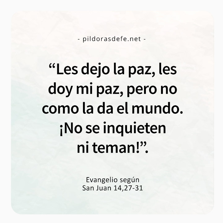 Cita bíblica del Evangelio de hoy (Juan 14,27-31): Les doy mi paz, pero no como la da el mundo