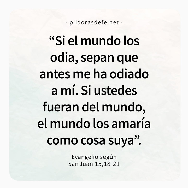 Evangelio De Hoy 13 De Mayo 2025 Wilie Julianna