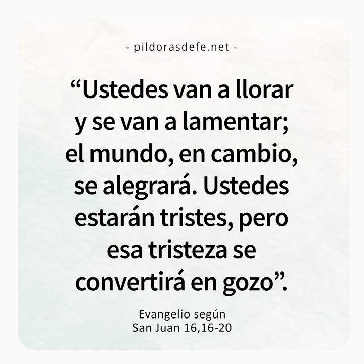 Cita bíblica del Evangelio de hoy (Juan 16,16-20): Estarán tristezas, pero esa tristeza se convertirá en alegría