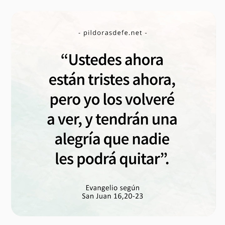 Cita bíblica del Evangelio de hoy (Juan 16,20-23): Ustedes tendrán una alegría que nadie se las podrá quitar