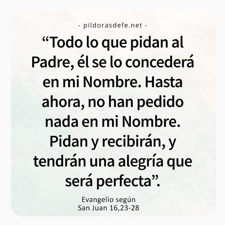 Cita bíblica del Evangelio de hoy (Juan 16,23-28): Pida y recibirán, tendrán una alegría que será perfecta