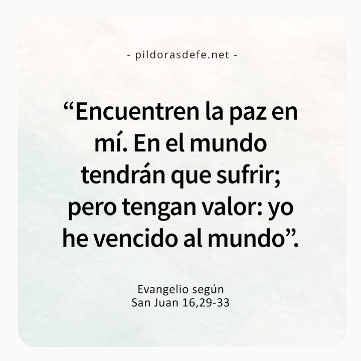 Cita bíblica del Evangelio de hoy (Juan 16-29-33): Tengan valor, Yo he vencido al mundo
