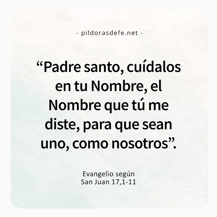 Evangelio de hoy martes Lecturas de hoy 23 de mayo, 2023