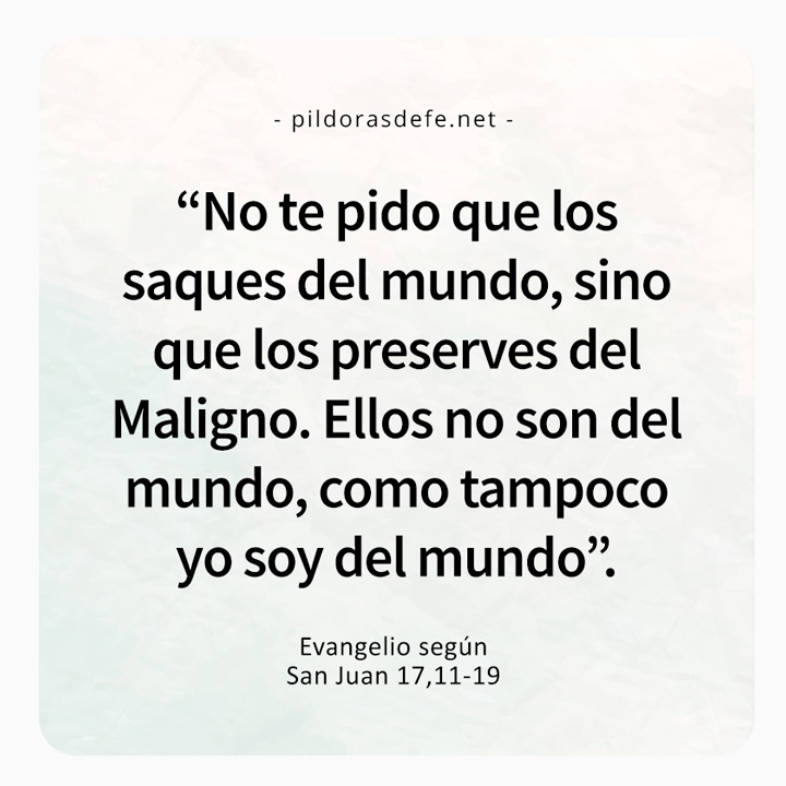 Cita bíblica del Evangelio de hoy (Juan 17,11-19): No pido que los saques del mundo, sino que los preserves del maligno