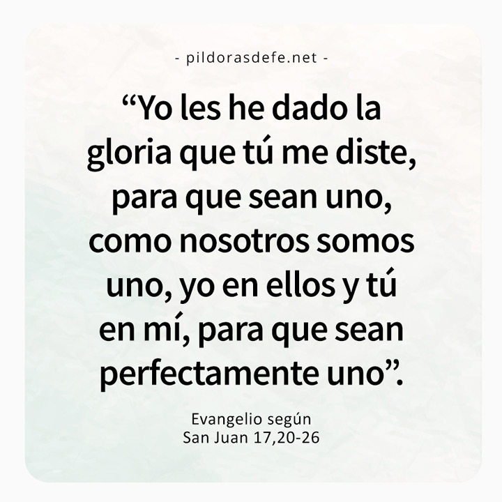 Cita bíblica del Evangelio de hoy (Juan 17,20-26): Para que sean uno como nosotros somos uno