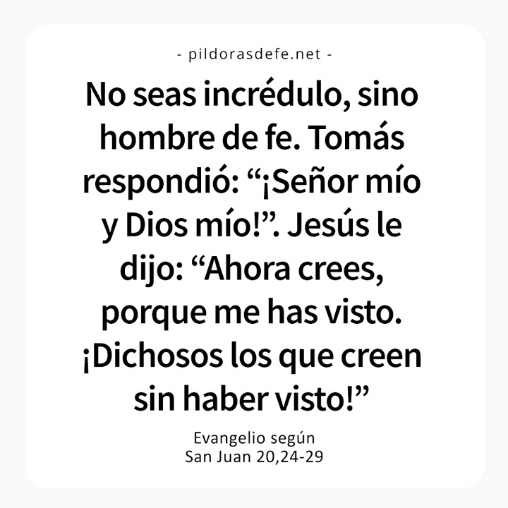 Cita bíblica del Evangelio de hoy (Juan 20,24-29): Dichosos los que creen sin haber visto