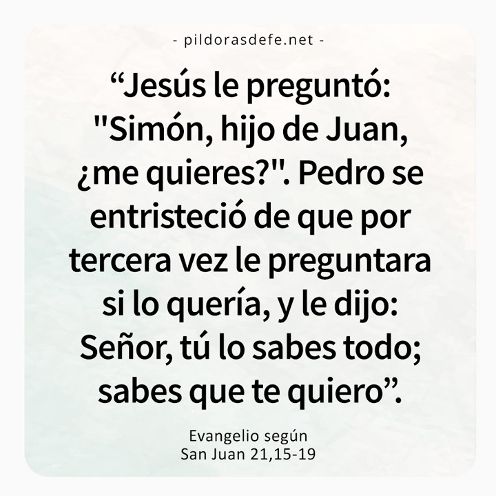 Cita bíblica del Evangelio de hoy (Juan 21-15-19): Señor, tú lo sabes todo, sabes que te quiero