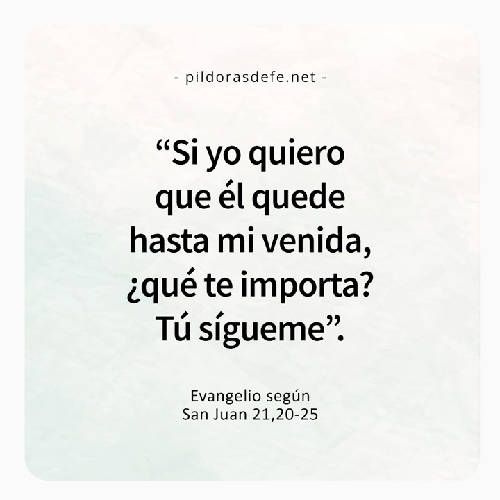 Cita bíblica del Evangelio de hoy (Juan 21-20-25): Si Yo quiero que él quede hasta mi venida, ¿qué te importa?