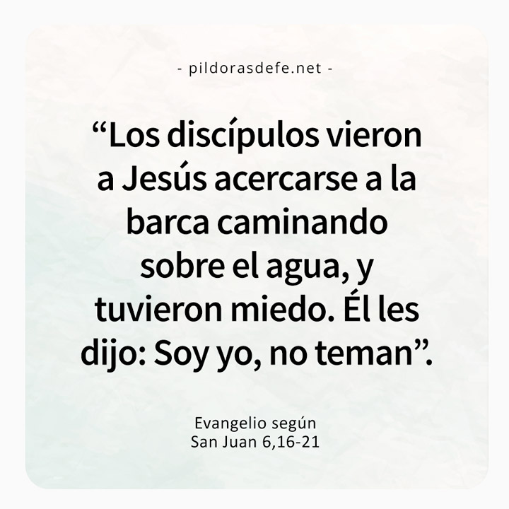 Cita bíblica del Evangelio de hoy, Juan 6,16-21: Vieron a Jesús acercarse a la Barca caminando sobre las aguas
