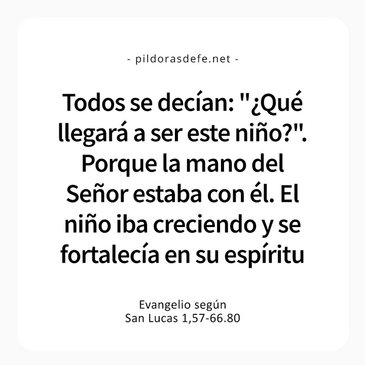 Cita bíblica del Evangelio de hoy (Lucas 1,57-66.80): ¿Qué irá a ser se este niño? La mano del Señor estaba con el